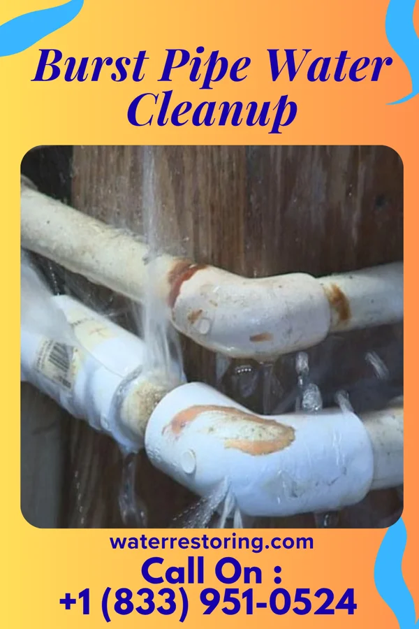 Burst Pipe Water Cleanup in Blacksburg, VA