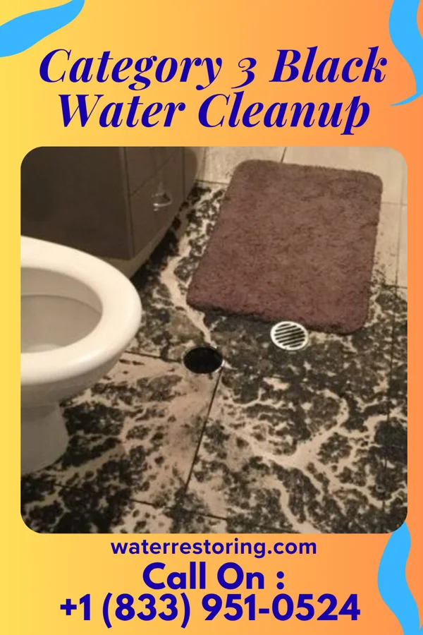 Category 3 Black Water Cleanup in Blacksburg, VA