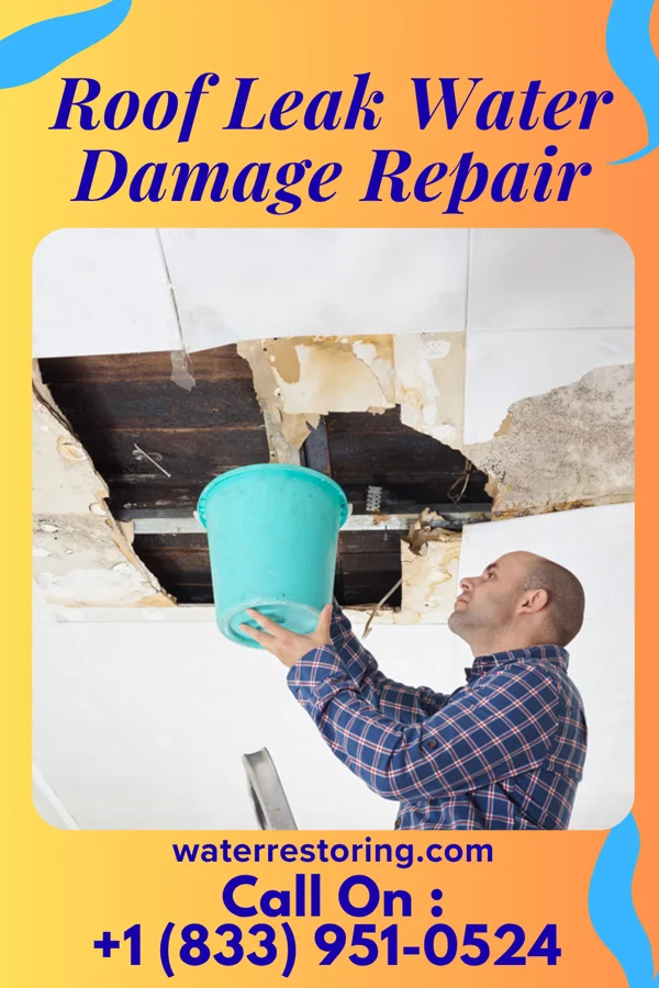 Roof Leak Water Damage Repair in Blacksburg, VA