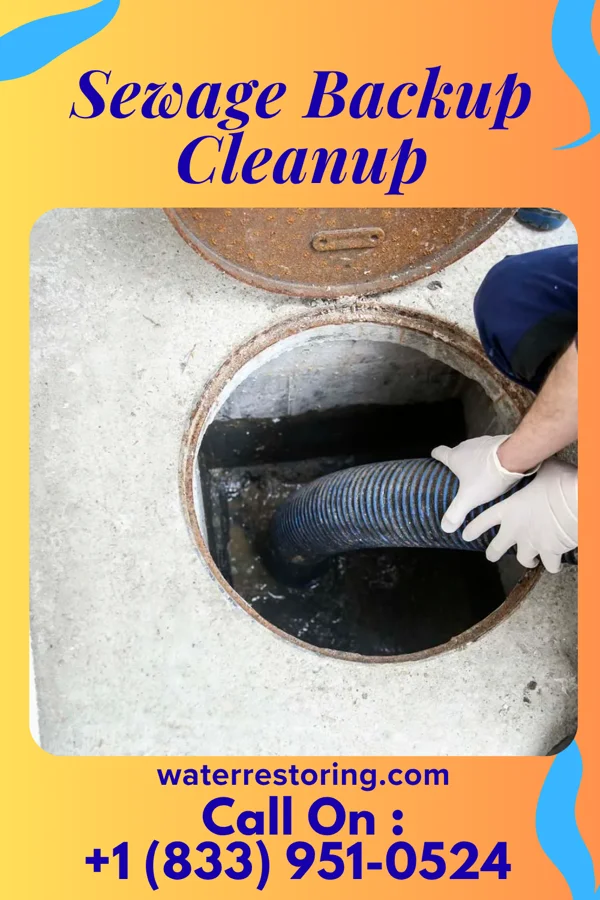 Sewage Backup Cleanup in Blacksburg, VA